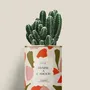 Cadeaux - Hymne à l'amour - Mini Cactus - DIAIWAIE
