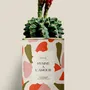 Gifts - Hymne à l'amour - Maxi Cactus - DIAIWAIE