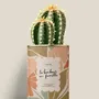 Cadeaux - Le bonheur en famille - Mini Cactus - DIAIWAIE