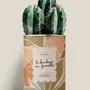 Gifts - Le bonheur en famille - Maxi Cactus - DIAIWAIE