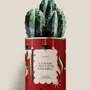 Gifts - LA MAGIE C'EST D'ÊTRE ENSEMBLE - Maxi Cactus - DIAIWAIE