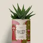Cadeaux - Trop entière pour aimer à moitié - Mini Aloé - DIAIWAIE