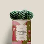 Gifts - Trop entière pour aimer à moitié - Mini Cactus - DIAIWAIE