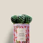 Cadeaux - Liberté égalité sororite - Mini Cactus - DIAIWAIE