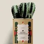 Gifts - Merry Chrismas - Maxi Cactus - DIAIWAIE