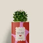 Gifts - More amor por favor - Mini Cactus - DIAIWAIE