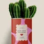 Gifts - More amor por favor - Maxi Cactus - DIAIWAIE