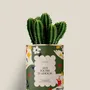 Cadeaux - 365 jours d'amour - Mini Cactus - DIAIWAIE