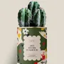 Cadeaux - 365 jours d'amour - Maxi Cactus - DIAIWAIE