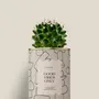 Cadeaux - Good vibes only - Mini Cactus - DIAIWAIE