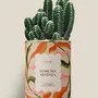 Cadeaux - Hakuna matata - Maxi Cactus - DIAIWAIE
