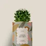 Cadeaux - Jardin secret - Mini Cactus - DIAIWAIE