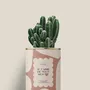 Gifts - Je t'aime de tout mon coeur - Mini Cactus - DIAIWAIE