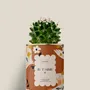 Cadeaux - Je t'aime - Mini Cactus - DIAIWAIE