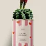 Gifts - La vie en rose - Maxi Cactus - DIAIWAIE