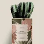 Gifts - Mère veilleuse - Maxi Cactus - DIAIWAIE