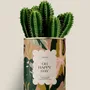 Gifts - Oh happy day - Maxi Cactus - DIAIWAIE