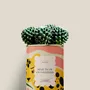 Cadeaux - Rêve ta vie en couleurs - Mini Cactus - DIAIWAIE