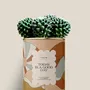 Gifts - Today is a good day - Maxi Cactus - DIAIWAIE