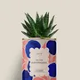 Gifts - Tu es rayonnante - Mini Aloé - DIAIWAIE