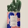 Gifts - Tu es rayonnante - Maxi Cactus - DIAIWAIE