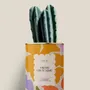 Gifts - Viens on s'aime - Mini Cactus - DIAIWAIE
