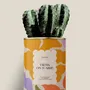 Gifts - Viens on s'aime - Maxi Cactus - DIAIWAIE