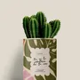 Gifts - Tu es la créatrice de ta vie - Mini Cactus - DIAIWAIE