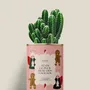 Gifts - TU ES LE PLUS BEAU DES CADEAUXX - Mini Cactus - DIAIWAIE