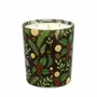 Candles - Winter Lights Candle 350g Fir - LES LUMIERES DU TEMPS