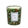 Candles - Winter Lights Candle 350g Fireside Tea - LES LUMIERES DU TEMPS