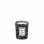 Candles - Winter Lights Candle Set 3x90g Rosé Champagne - Fir - Fireside Tea - LES LUMIERES DU TEMPS