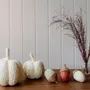 Objets de décoration - Glands en corde et en papier (vert, marron clair et rose) - WE LOVE SEASONS