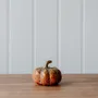 Objets de décoration - Petite citrouille en céramique - WE LOVE SEASONS