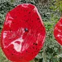 Floral decoration - Funnel shaped glass flower in red, black color - CARNEOL GLASS