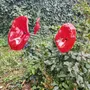 Floral decoration - Funnel shaped glass flower in red, black color - CARNEOL GLASS