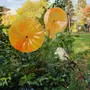 Décorations florales - Fleur en verre de grande taille pour l'extérieur de couleur transparente, jaune, orange avec tige en acier inoxydable de 1 mètre - CARNEOL GLASS