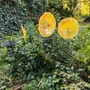 Décorations florales - Fleur en verre de grande taille pour l'extérieur de couleur transparente, jaune, orange avec tige en acier inoxydable de 1 mètre - CARNEOL GLASS