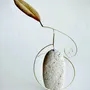 Sculptures, statuettes et miniatures - stones, leaves and feathers - KEIICHI SAITO BY ARTY ARTY