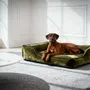 Beds - meuscele® - Dog sleeping furniture - MEUSCELE