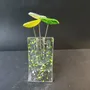 Vases - Petit ensemble de vases en combinaison de couleurs vert pomme-jaune av - CARNEOL GLASS