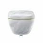 Toilets - MARBRE ÉMOTION-11　TOTO Premium edition- toilet - ARTOLETTA NEW COLLECTION