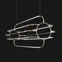 Hanging lights - Charlotte - sculptural solid brass LED pendant light - MOSS OBJECTS