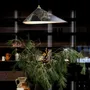 Hanging lights - Emily I Pendant- Organic Handmade Steel Shade Pendant Luminaires - MOSS OBJECTS