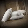 Comforters and pillows - ROYAL PILLOW 70% - 50x70 - DUMAS PARIS