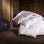 Comforters and pillows - 70% ROYAL TEMPERATE DUVET - 260X240 - DUMAS PARIS