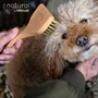 Pet accessories - 100% FSC Certified® Natural Angled Pet Grooming Brush - Soft Bristle - NATURAL BY HILLBRUSH