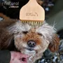 Pet accessories - 100% FSC Certified® Natural Angled Pet Grooming Brush - Soft Bristle - NATURAL BY HILLBRUSH