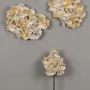 Decorative objects - Golden Light Wall Installation - CLP CERAMIQUE