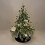Autres décorations de Noël - Christmas trees - SHISHI